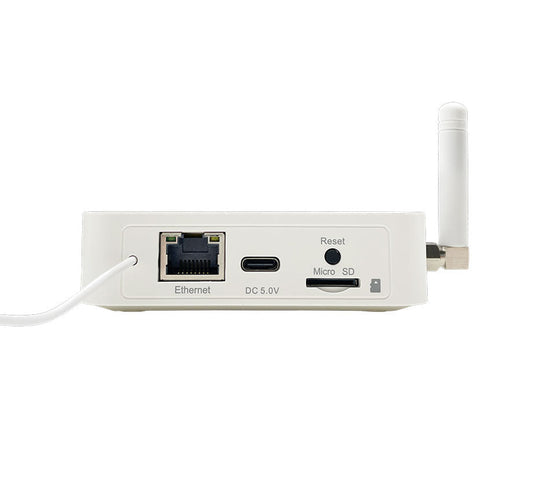 White Ecowitt electronic device with connectivity ports on a white background